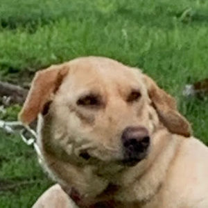 Meet your Posher, Zoey